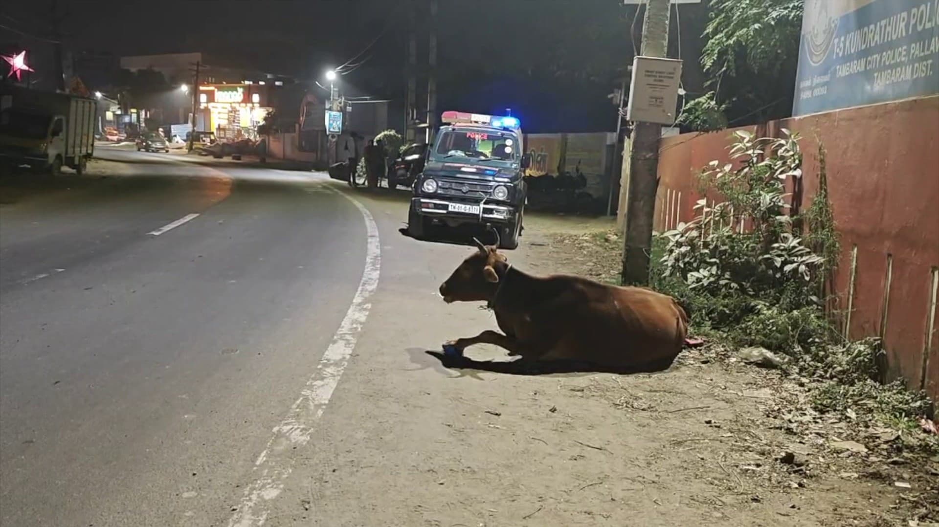 திருவள்ளூர் அருகே மாடு மோதியதால் பைக்கிலிருந்து கீழே விழுந்த பெண் உயிரிழப்பு