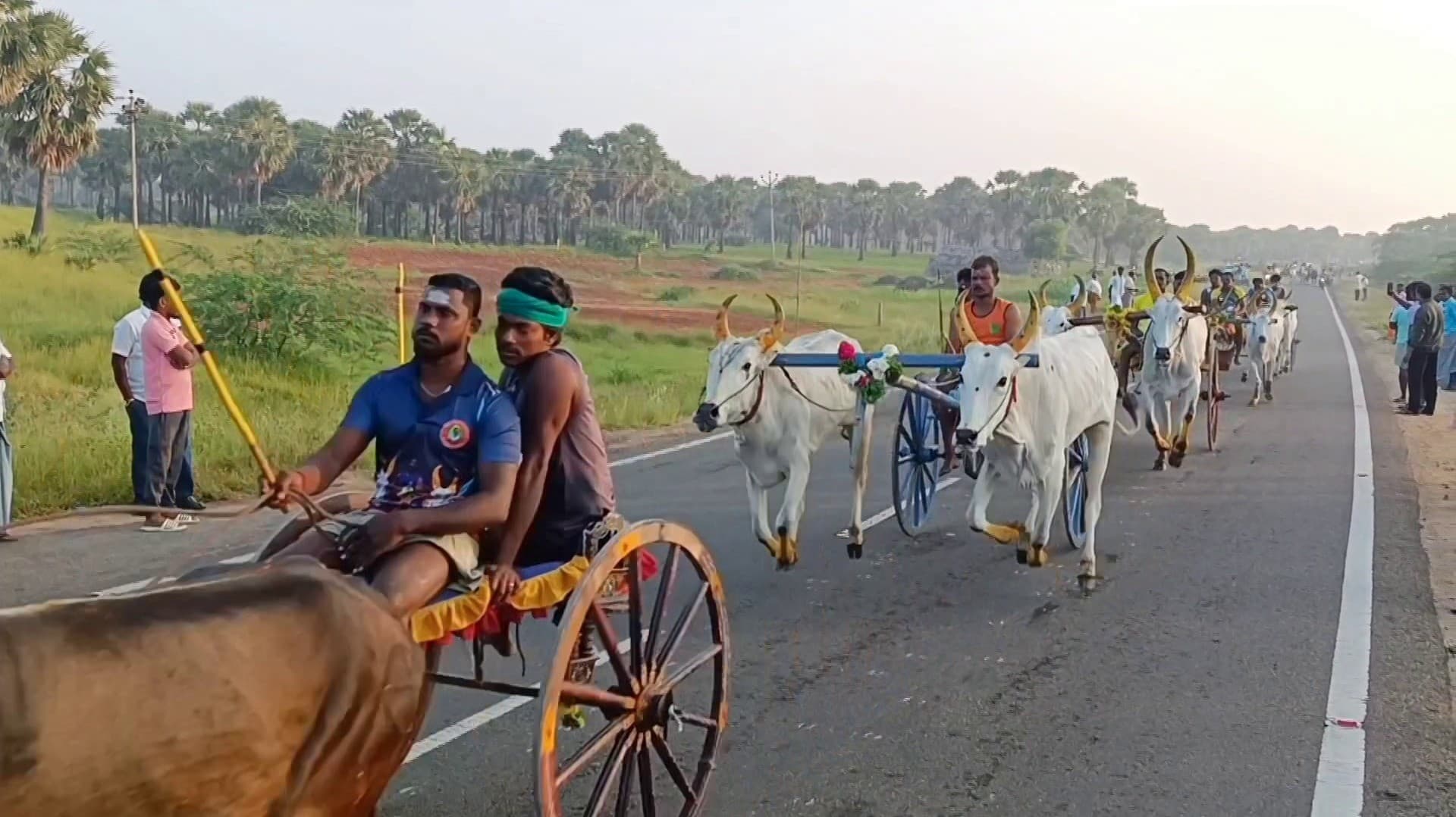 கட்டபொம்மனின் பிறந்தநாளை முன்னிட்டு மாட்டு வண்டி பந்தயம்... சாலையின் இரு மருங்கிலும் நின்றபடி பந்தயத்தை ரசித்த மக்கள்