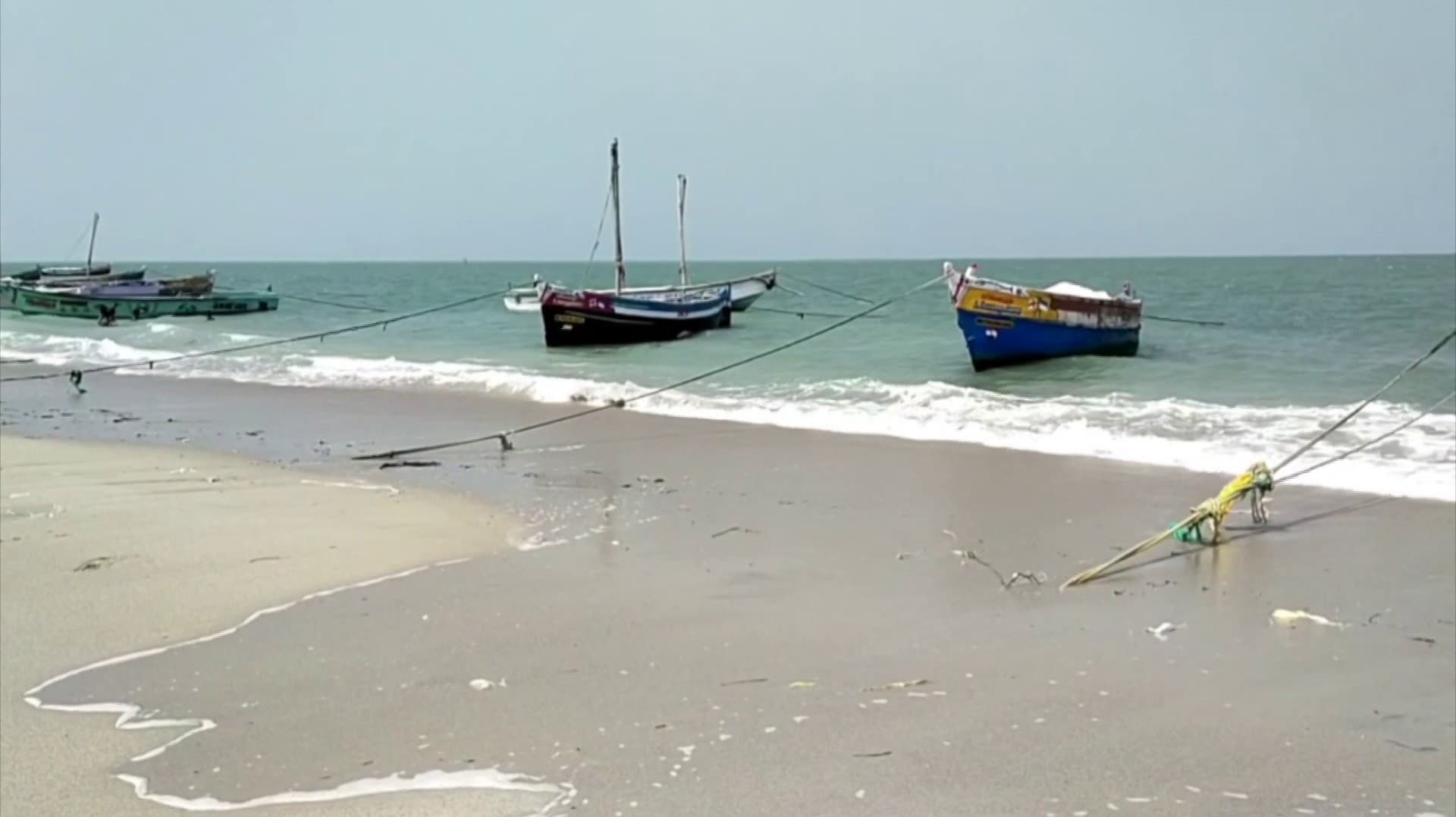 இலங்கைக்கு கடத்துவதற்காக குடோனில் பதுக்கப்படிருந்த  2 டன் பீடி இலைகள்..