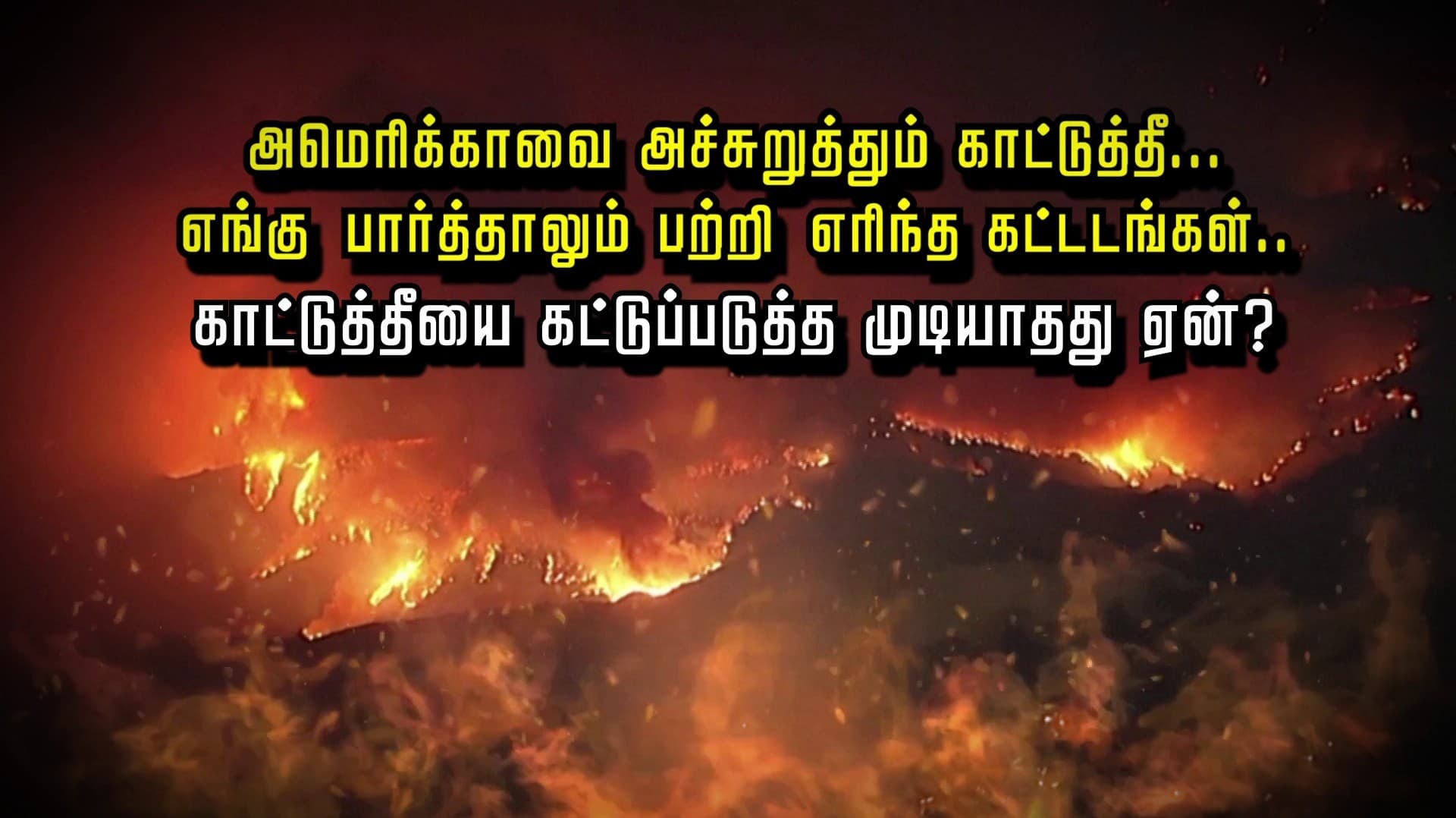 அமெரிக்காவை அச்சுறுத்தும் காட்டுத்தீ... எங்கு பார்த்தாலும் பற்றி எரிந்த கட்டடங்கள்.. காட்டுத்தீயை கட்டுப்படுத்த முடியாதது ஏன்? லாஸ் ஏஞ்சலீஸை சுற்றிய காட்டுத்தீ...வீட்டை விட்டு வெளியேறிய பிரபலங்கள்...