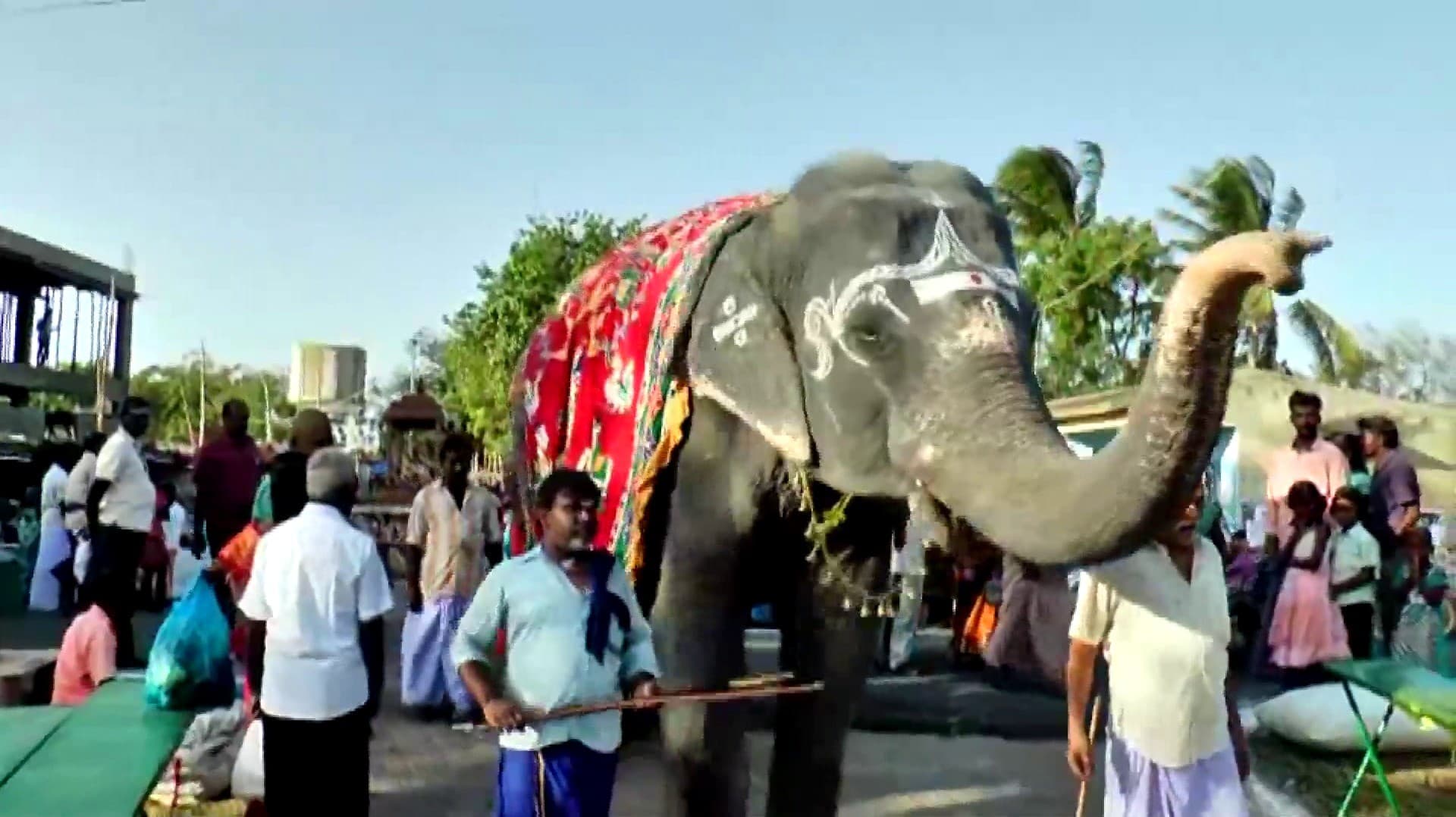 நெல்லையப்பர் கோவில் யானை காந்திமதி உடல் நலக்குறைவால் உயிரிழந்தது