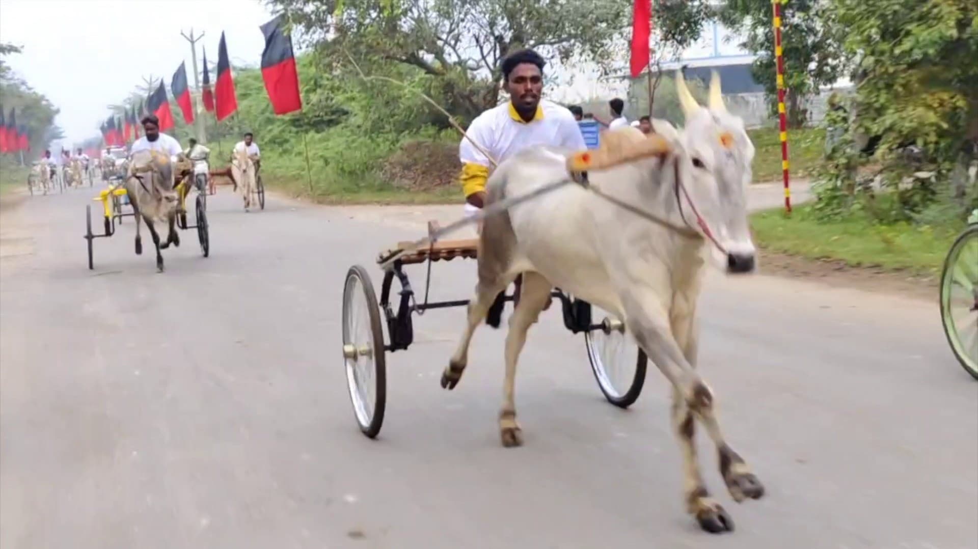 மாதவரம் அருகே நடைபெற்ற பொங்கல் சிறப்பு ரேக்ளா பந்தயம்... பல்வேறு மாவட்டங்களின் வீரர்கள், மாடுகளுடன் பங்கேற்பு