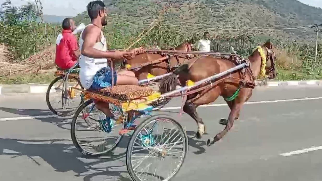 பொங்கல் விழாவையொட்டி நடைபெற்ற குதிரை வண்டி எல்கை பந்தயம்