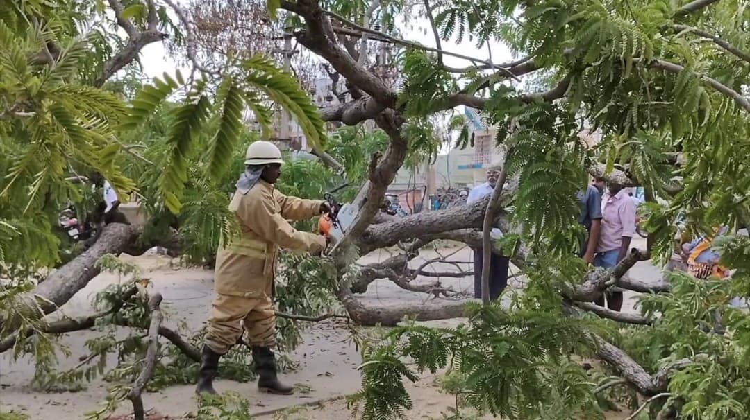 திண்டுக்கலில் மொபட்டில் சென்றவர் மரம் முறிந்து விழுந்ததில் உயிரிழப்பு